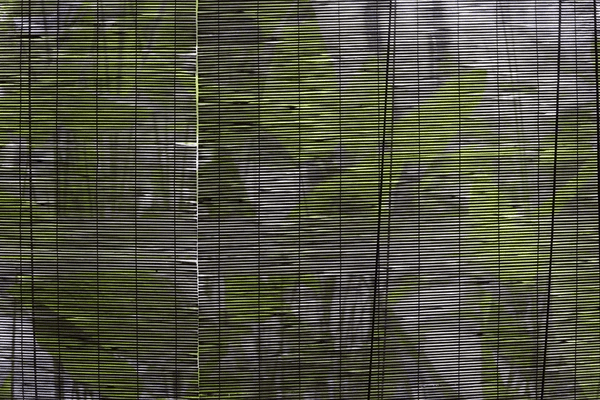 Stylish bamboo window blinds in a modern Dubai home, enhancing sustainability with recyclable and eco-friendly materials. A cozy seating area with a papasan chair and wooden table completes the space.