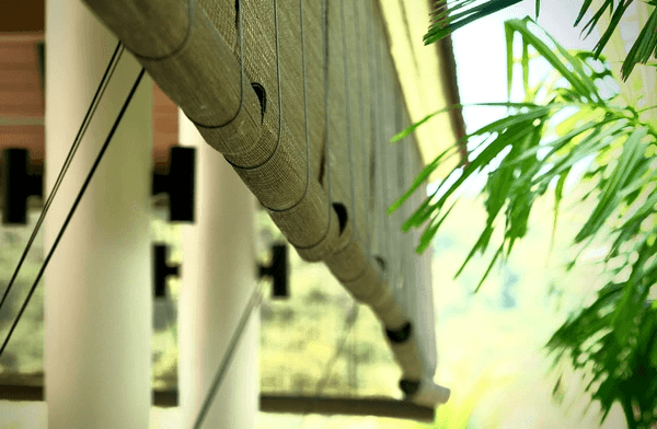 Elegant bamboo blinds hanging in an outdoor space, providing a natural, stylish, and modern touch with lush greenery in the background.