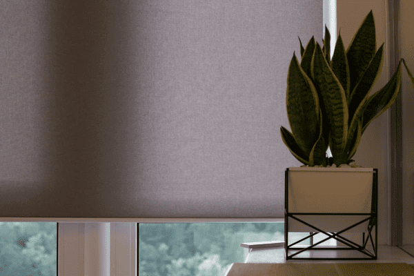  A sleek motorized roller blind in a neutral tone, partially covering a large window with a scenic outdoor view. A stylish potted snake plant sits on a modern table, adding a touch of nature to the space.