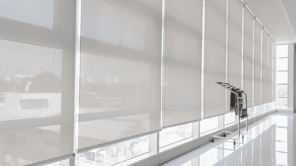 A modern office hallway in Dubai featuring sleek, floor-to-ceiling window blinds that provide glare reduction, privacy, and a professional aesthetic.