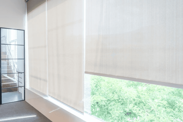 Modern, sleek light-filtering blinds covering large windows, allowing soft natural light into a stylish space.
