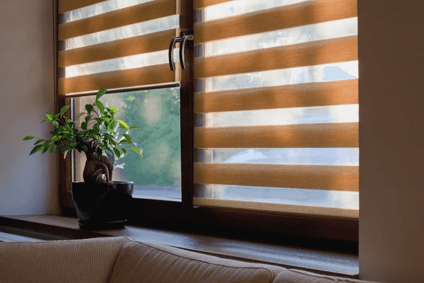 Elegant zebra roller blinds with alternating light and dark fabric strips, installed on a cozy wooden-framed window with a bonsai plant on the windowsill.
