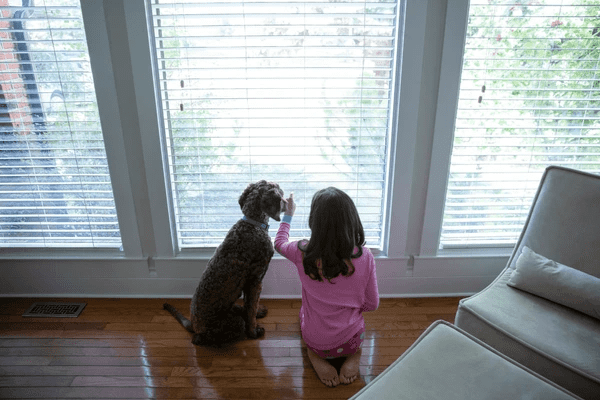 Young girl and dog sitting on hardwood floor looking out through sleek white blinds in a modern, cozy living room.