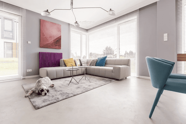 A modern, cozy living room with sleek blinds, a stylish grey sectional, and a dog lying peacefully on a rug.