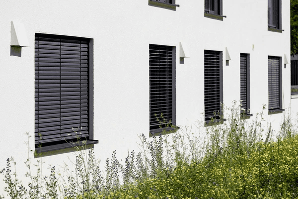  White modern home with multiple windows fitted with stylish black horizontal outdoor blinds, framed by tall green plants.
