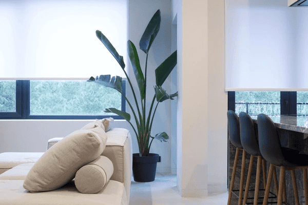 Modern living room with sleek motorized blinds in white, minimalistic furniture, and a lush green plant, showcasing top-rated window treatments in Dubai for 2025.