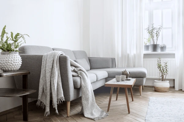 Bright living room with white walls, sheer white curtains, grey sofa, wooden coffee table, and indoor plants in a cozy Dubai home.