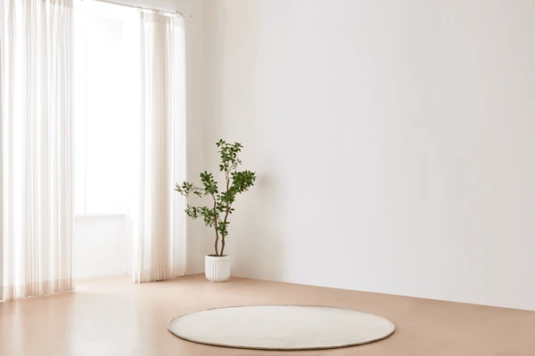 Minimalist living room with sheer long curtains, potted plant, round rug, and bright natural light.