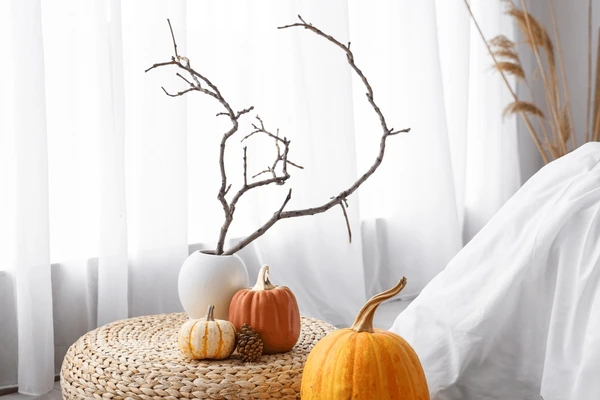 Minimalist Halloween setup with pumpkins, dried branches in a vase, and white sheer curtains in a cozy Dubai home.