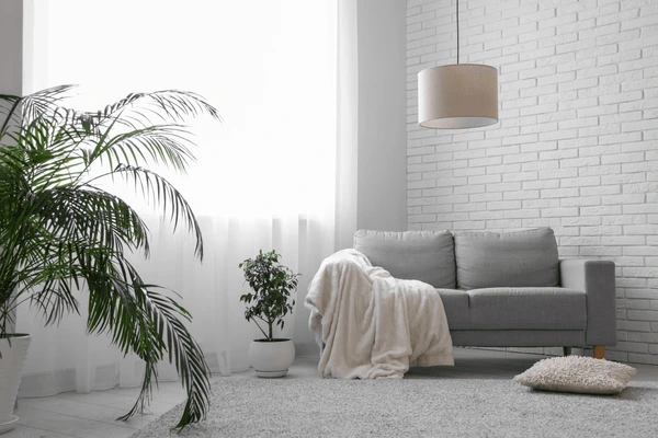 Bright minimalist living room with soft white sheer curtains, a gray sofa, indoor plants, and cozy décor in Dubai.